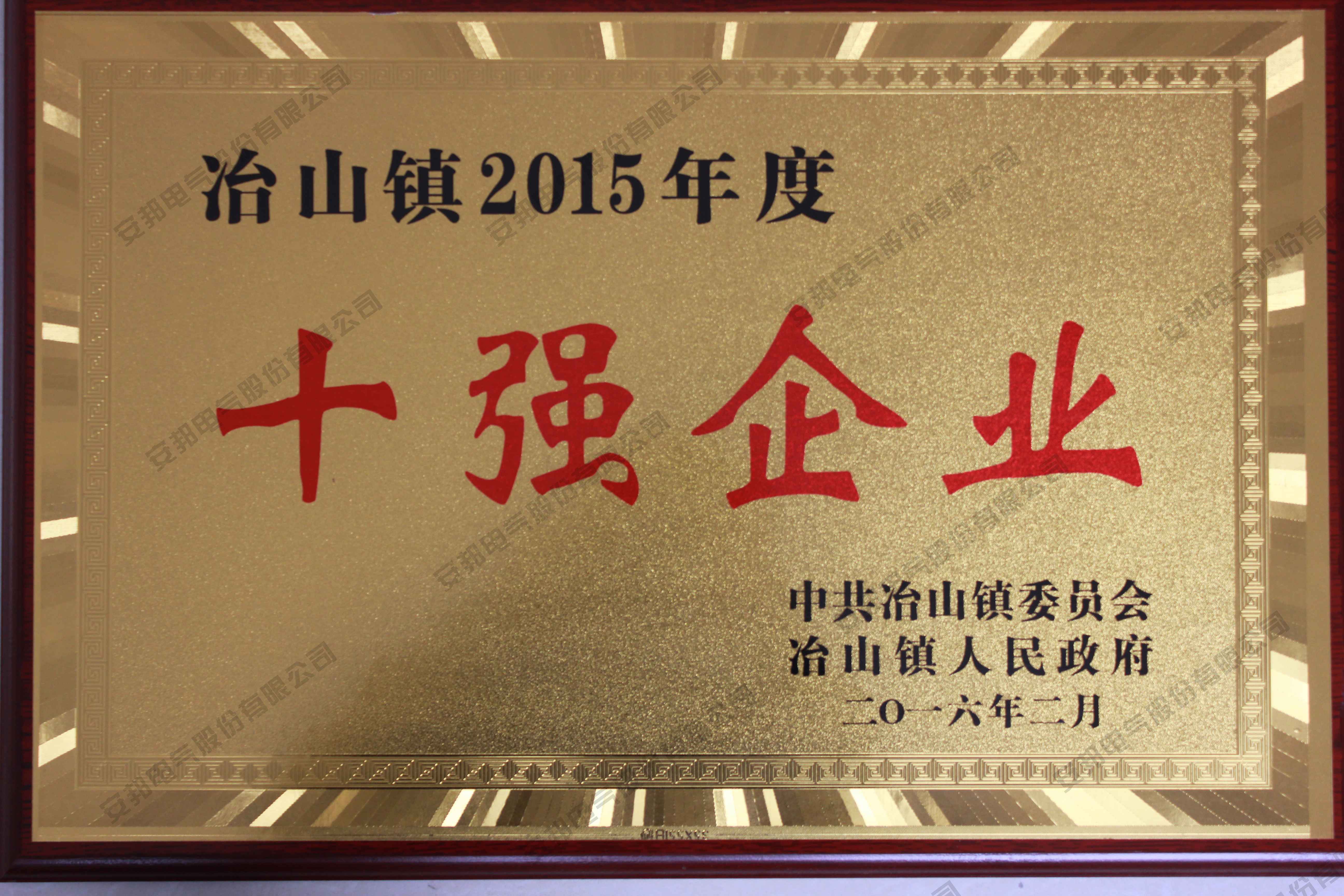 2015年度十強(qiáng)企業(yè)